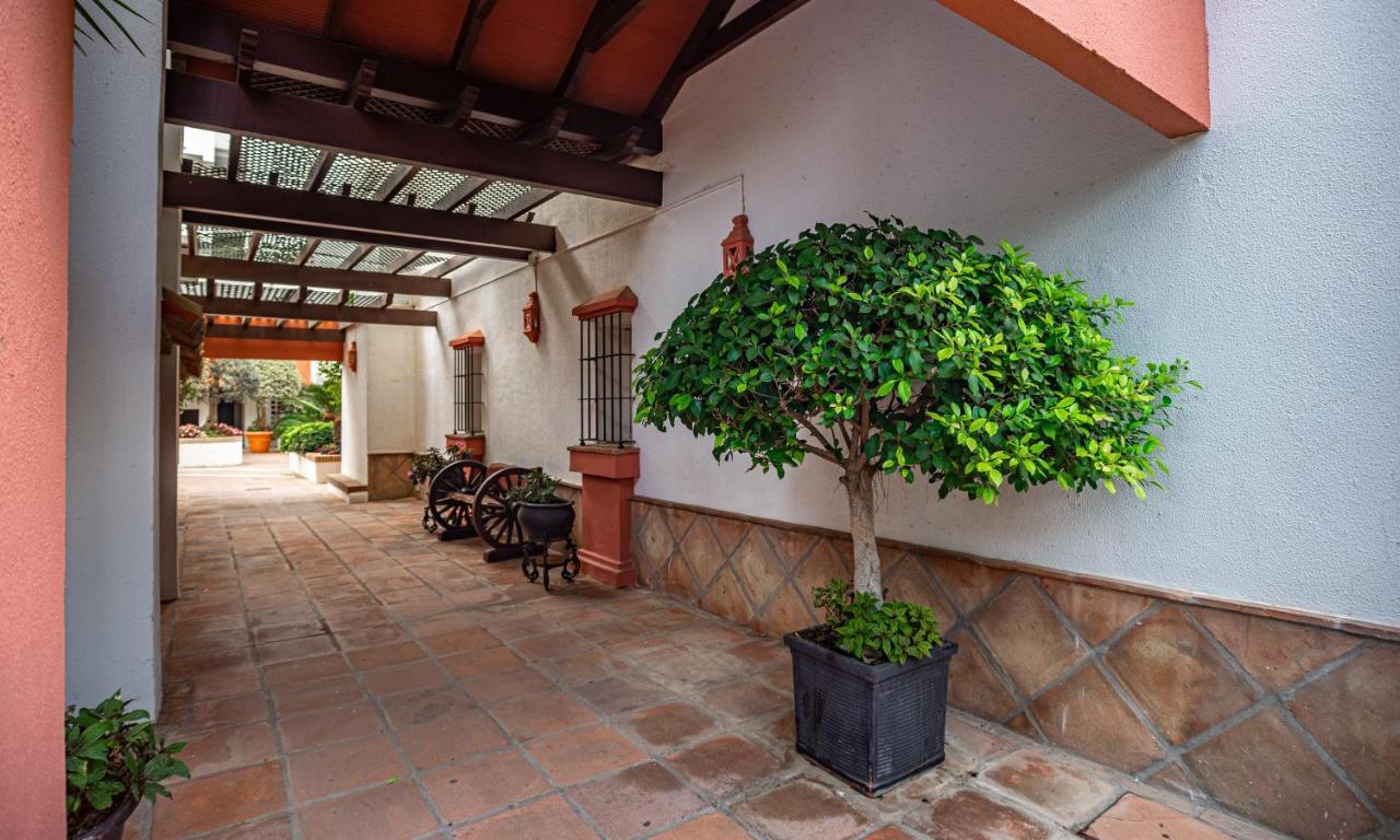 Modern Apartment - 2 Bedrooms, Beachside - Puerto Banus 马尔韦利亚 外观 照片